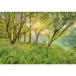 XXXLutz Fototapete 368/254 cm Angebot