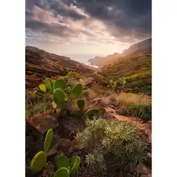 XXXLutz Fototapete 200/280 cm Angebot