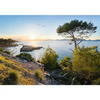 XXXLutz Fototapete 400/280 cm Angebot