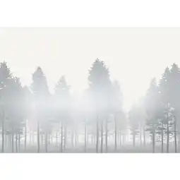 XXXLutz Fototapete 400/280 cm Angebot