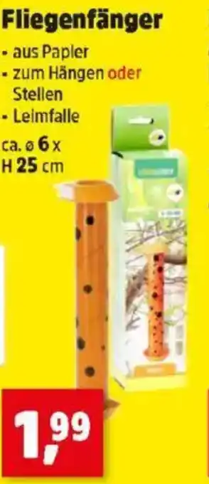 Thomas Philipps Fliegenfänger Angebot