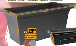Hornbach Blumenkasten,,Magnus XXL Angebot