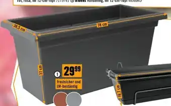 Hornbach Blumenkasten,,Magnus XXL Angebot
