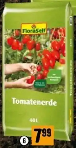 Hornbach Tomatenerde Angebot