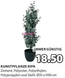 JYSK Kunstpflanze ripa Angebot