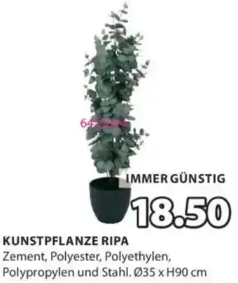 JYSK Kunstpflanze ripa Angebot