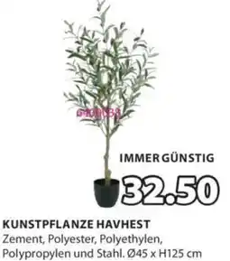 JYSK Kunstpflanze havhest Angebot