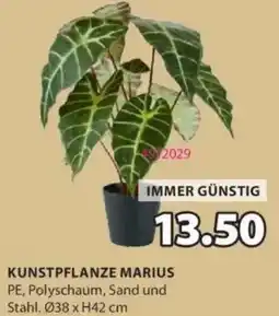 JYSK Kunstpflanze marius Angebot