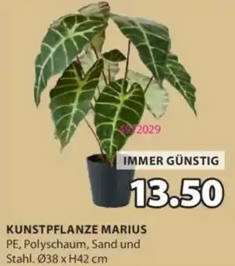 JYSK Kunstpflanze marius Angebot