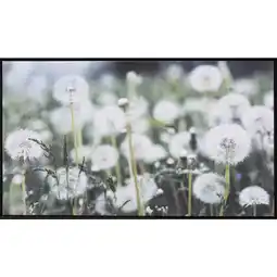XXXLutz Kunstdruck 120/70 cm Angebot
