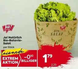 Billa Bio-Batavia- Salat Angebot