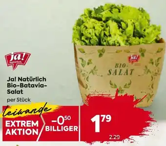 Billa Bio-Batavia- Salat Angebot