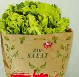 Billa ja!natürlich Bio-Salat Batavia Angebot