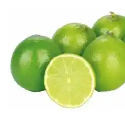 Transgourmet Limetten Angebot