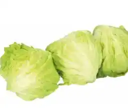 Transgourmet Eisbergsalat Angebot