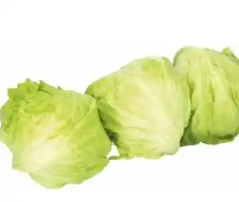 Transgourmet Eisbergsalat Angebot