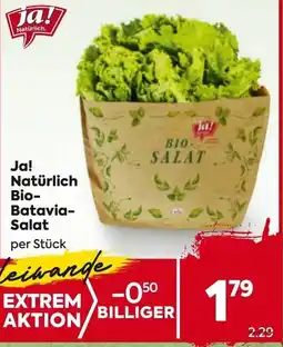 Billa Bio- batavia- salat Angebot