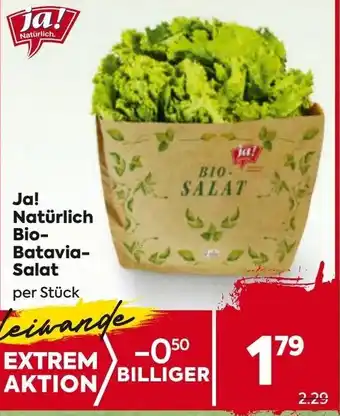 Billa Bio- batavia- salat Angebot