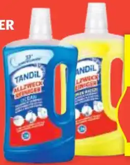 Hofer Tandil Allesreiniger Angebot
