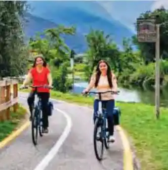 Hofer Hofer-Reisen Radtour-Italien Etschradweg Angebot
