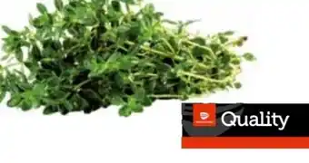 Transgourmet Quality Zitronenthymian Angebot