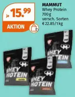 Müller Mammut whey protein Angebot