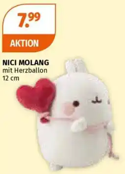 Müller Nici molang Angebot