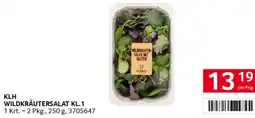 Transgourmet Klh wildkräutersalat Angebot