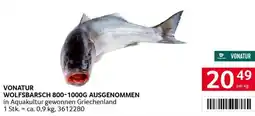 Transgourmet Wolfsbarsch ausgenommen Angebot
