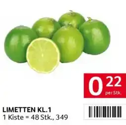 Transgourmet LIMETTEN Angebot