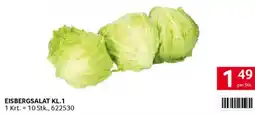 Transgourmet Eisbergsalat Angebot