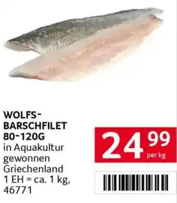 Transgourmet Wolfs- barschfilet Angebot