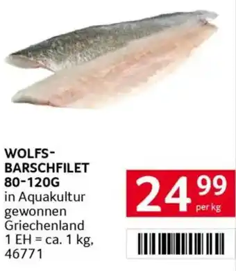 Transgourmet Wolfs- barschfilet Angebot