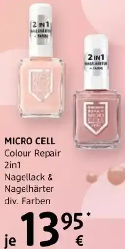 dm Micro cell Angebot