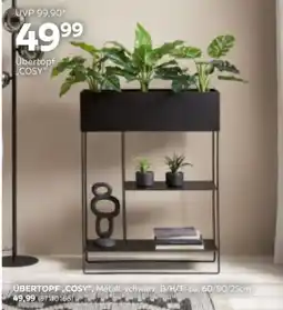 Mömax Übertopf „cosy Angebot