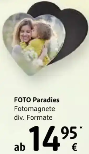 dm Foto paradies fotomagnete Angebot