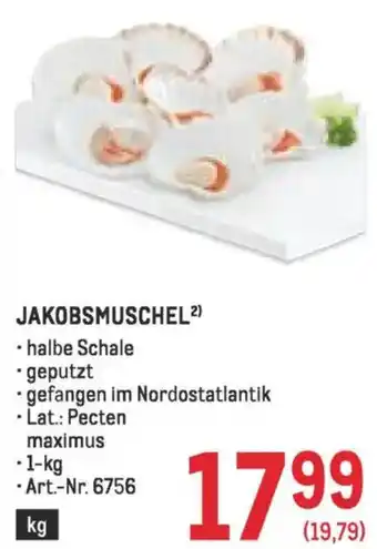 Metro Jakobsmuschel Angebot