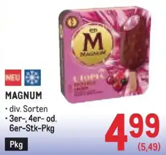 Metro Magnum Angebot