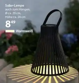 NKD Solar-lampe auch zum hängen Angebot
