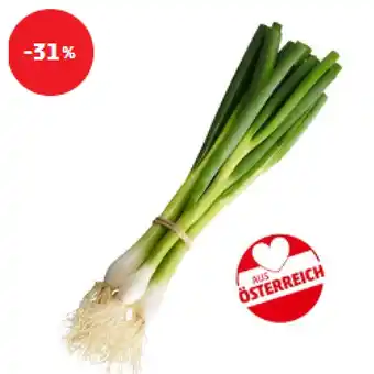 PENNY Jungzwiebeln Penny Angebot