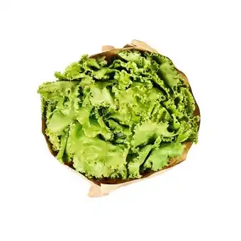 Billa Bio-Batavia-Salat BILLA Angebot