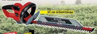 Zgonc Einhell Elektro-Heckenschere GC-EH 6055/1 Angebot