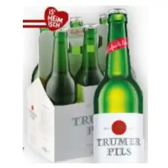 Billa Pils BILLA Angebot