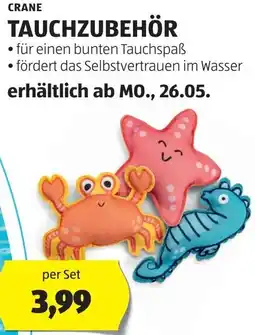 Hofer Tauchzubehör Angebot