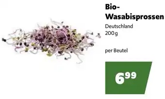 Eurogast Grissemann Bio- Wasabisprossen Angebot