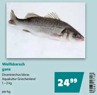 Eurogast Grissemann Wolfsbarsch ganz Angebot