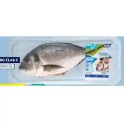 Hofer ASC Goldbrasse HOFER Angebot