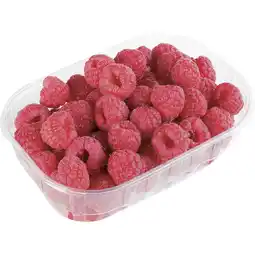 Metro Himbeeren, Preisangabe ohne MwSt. (Preis inkl. MwSt. 2,19 €), METRO Angebot