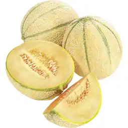 Metro Zuckermelone, Preisangabe ohne MwSt. (Preis inkl. MwSt. 3,29 €), METRO Angebot