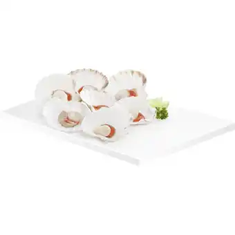 Metro Jakobsmuschel, Preisangabe ohne MwSt. (Preis inkl. MwSt. 19,79 €), METRO Angebot